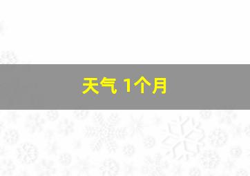 天气 1个月